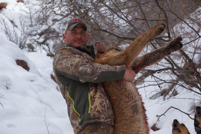 New Mexico Mountain Lion Hunting